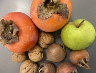Frutta di stagione autunno